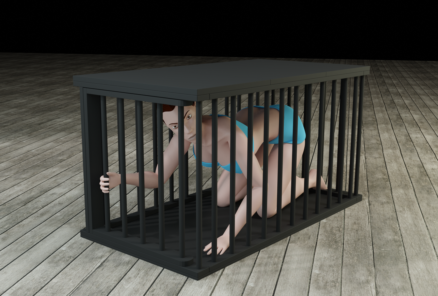 Portable Wooden Bondage Cage - Flat Pack Human Cage for Home Use