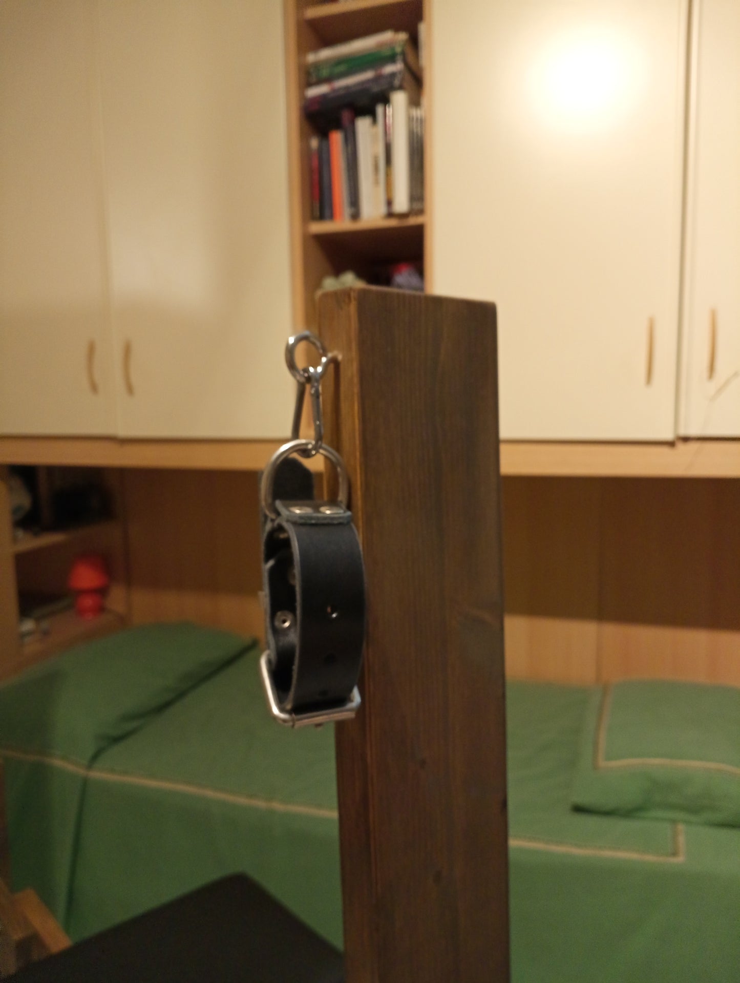 Close-up of leather restraints and snap links on the breeding bench