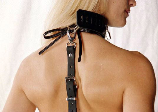 Wrists-to-Neck Bondage Harness with Lockable Collar and Wrist Restraints - BDSM